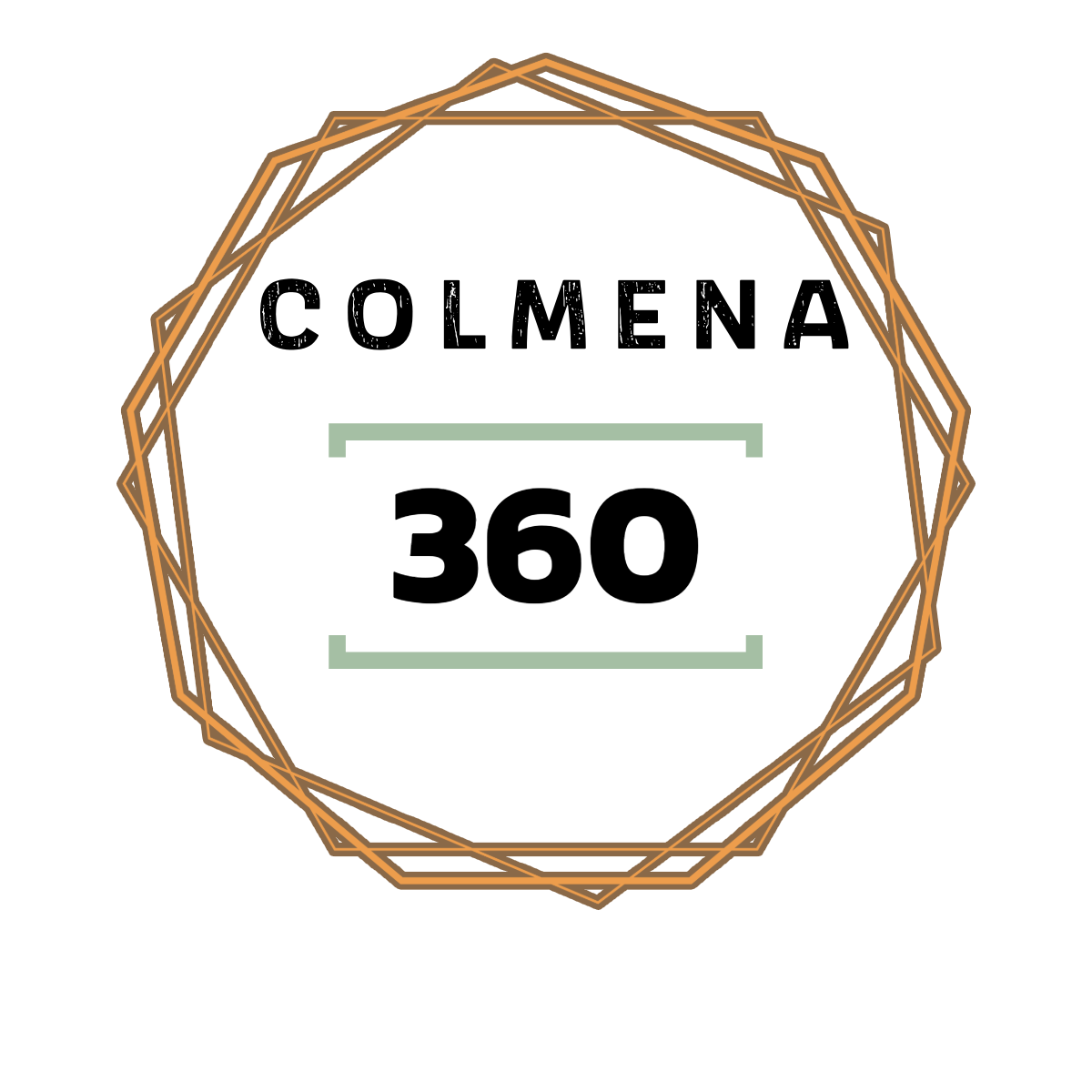 Colmena360